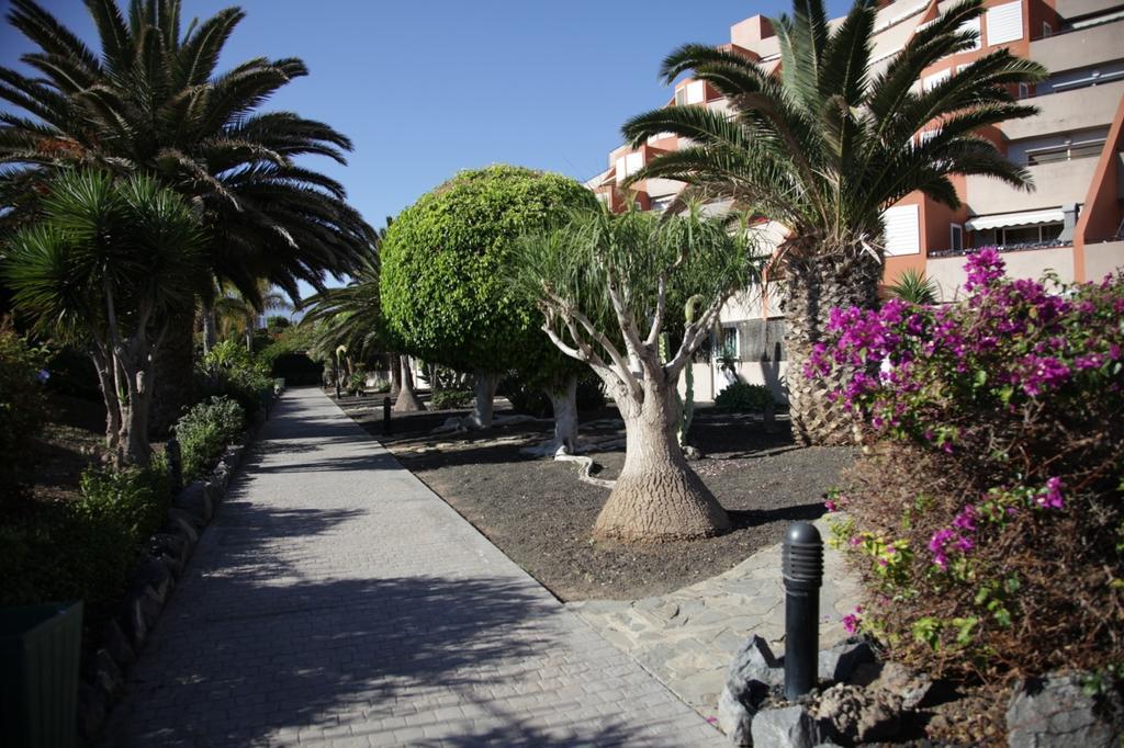 Apartamento El Cano Radazul Exteriér fotografie